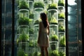 Vegetables growing in vertical farm