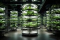 Vegetables growing in vertical farm