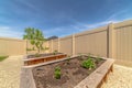 Vegetables growing in wooden raised garden beds filled with soil under blue sky