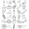 Vegetables Hand Drawn Doodle Line Art Outline Set Royalty Free Stock Photo