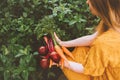 Vegetables harvest freshly picked from garden healthy lifestyle vegan food