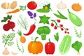 Vegetables, healthy food set, isolated on white, vector illustration. Pepper, cucumber, tomato and organic carrot, fresh