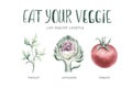 Vegetables healthy green organic set hand drawn watercolor diet menu with artichoke, broccoli, spinach, celery vitamin Royalty Free Stock Photo