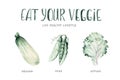 Vegetables healthy green organic set hand drawn watercolor diet menu with artichoke, broccoli, spinach, celery vitamin Royalty Free Stock Photo