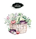 Vegetables healthy organic watercolor wooden box and Wicker basket with bell pepper, leek, onion and avocado vitamin