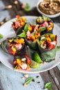 Vegetables and Healthy Spring Rolls with Shrimp and Mango Peanut Sauce. Summer Food