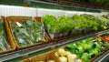 Vegetables, herbs, parsley, green salad, cauliflower on supermarket shelves for sale. Fresh natural food. Healthy eating. Retail