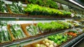 Vegetables, herbs, parsley, green salad, cauliflower on supermarket shelves for sale. Fresh natural food. Healthy eating. Retail