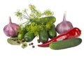 Vegetables for home canning on a white background