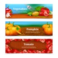 Vegetables Horizontal Banners Set