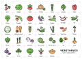 Vegetables icon isolated, Spices logo. Fresh vegetarian food, Line Art