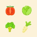 Vegetables icon set collection tomato cabbage brocolli radish white isolated background with color flat cartoon style