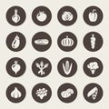 Vegetables icon set