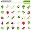 Vegetables icon set