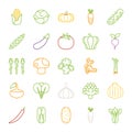 Vegetables icons , flat design Royalty Free Stock Photo