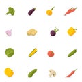 Vegetables Icons Flat Set Royalty Free Stock Photo