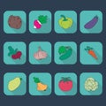 Vegetables icons flat set isolated illustration Royalty Free Stock Photo