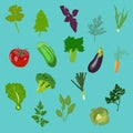 Vegetables icons flat set. isolated vector illustration. vector background. Flat icons. fresh food. healthy food. vegetables diet Royalty Free Stock Photo