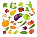 Vegetables icons set. Collection of vector vegetarian food