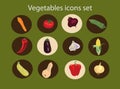 Vegetables icons set ,healthy food.