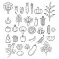 Vegetables icons. Vector Illustration.