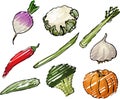 Vegetables illustration