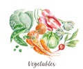 Vegetables illustration. Hand drawn watercolor on white background.