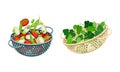 Vegetables in kitchen colander set. Strainers full of tomato, bean, peas, greenery. Healthy organic food vector