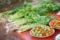 Vegetables at a local markets Royalty Free Stock Photo