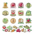 Vegetables logo healthy vegetably logotype tomato and carrot for vegetarians organic food in grocery shop illustration