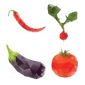 Vegetables in low poly radish tomato eggplant red pepper