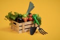 Vegetables Lying In Wooden Box Near Garden Tools, Yellow Background Royalty Free Stock Photo