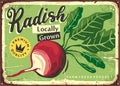 Vegetables market promo sign with farm fresh radish