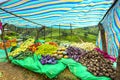 Vegetables market stall, Sri Lanka Royalty Free Stock Photo