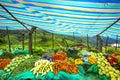 Vegetables market stall, Sri Lanka Royalty Free Stock Photo