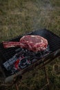 Vegetables and meat on the grill on hot coals with smoke Royalty Free Stock Photo