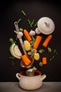 Vegetables in motion before cooking in soup Royalty Free Stock Photo