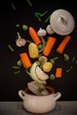 Vegetables in motion before cooking in soup Royalty Free Stock Photo