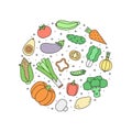 Vegetables multicolored outline vector circle illustration.