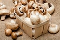 Champignons and Crimini Mushrooms in Basket on