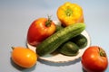 Vegetables in a plate on a gray background. Royalty Free Stock Photo