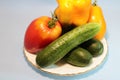 Vegetables in a plate on a gray background.