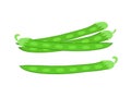 Vegetables. Pods of green bean. Vector illustration cartoon flat