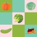 Vegetables: Pumpkin, cabbage, broccoli, zucchini, beets, carrots Royalty Free Stock Photo