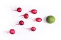 Radish and lime as living cells on a white background Royalty Free Stock Photo