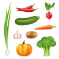 Vegetables realistic pictures. Healthy fresh food pumpkin broccoli cucumber pepper carrot vector 3d illustrations