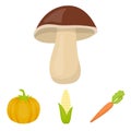 Vegetables related icon set Royalty Free Stock Photo