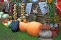 Vegetables on rural market Royalty Free Stock Photo