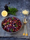 Vegetables salad with purple cabbage, carrot, sprouted mung, parsley on grey clay plate on dark background. Cole Slaw Salad of red Royalty Free Stock Photo