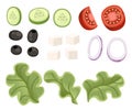 Vegetables salad recipe. Greek salad ingredient. Fresh vegetables cartoon icon design food. Flat vector illustration isolated on Royalty Free Stock Photo